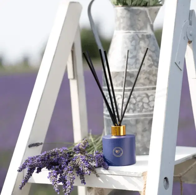 Warwick lavender farm